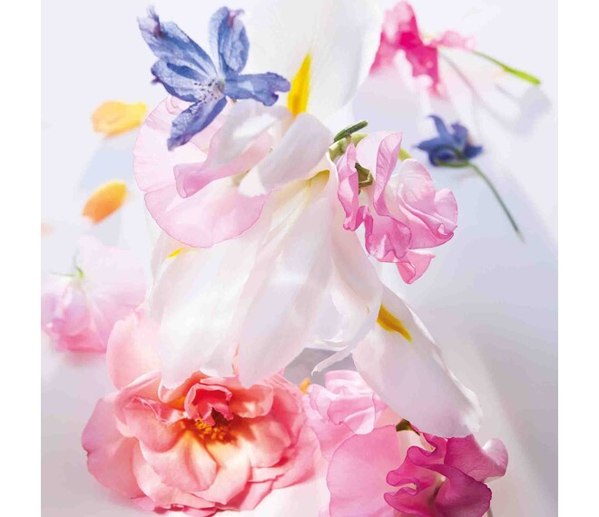 DIOR Miss Dior Eau de Parfum