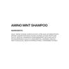 Redken Amino Mint Shampoo